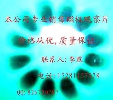 �����ŘO�^��Ƭ