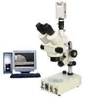 ����y���x|��������x|���ӽ������