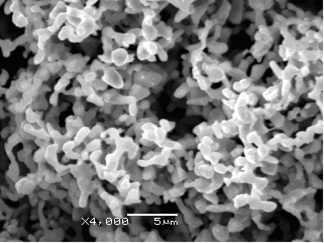 ����(x��)�F��SR-1