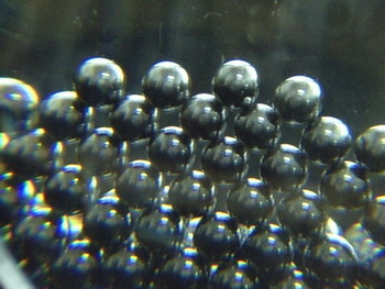 ����(y��ng)�u���