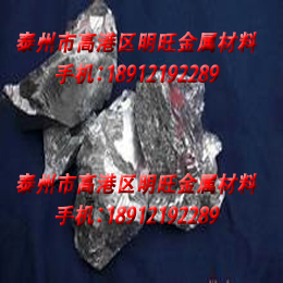 ����Ͻ�  �����t �F�Ͻ�