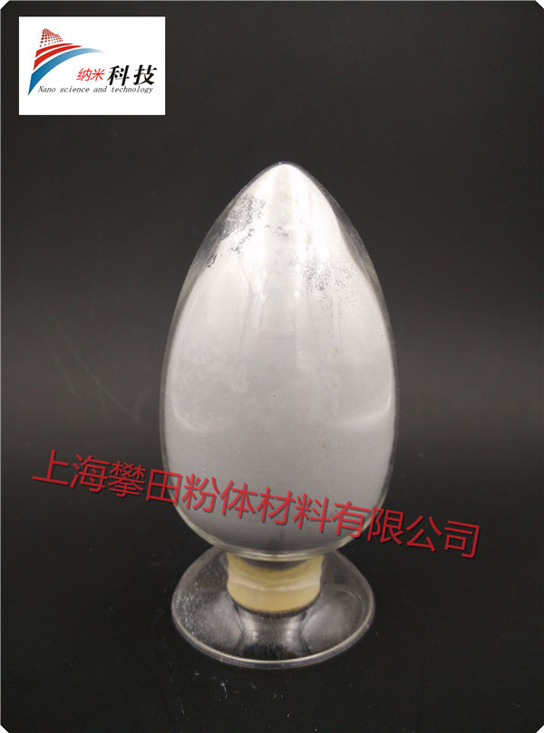 �{�׵�����