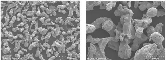 ��ĩұ���~��