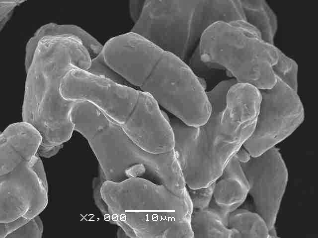 ����(x��)�F��