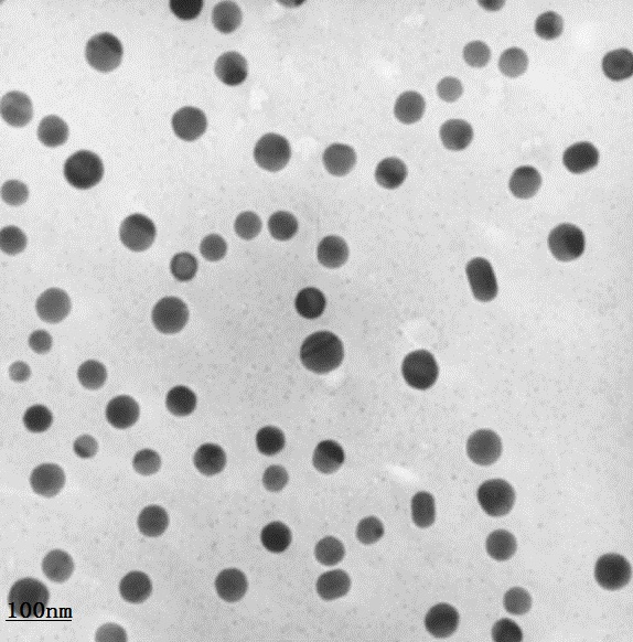 ����(y��ng)�{�׵�����-ˮ��ɢҺ