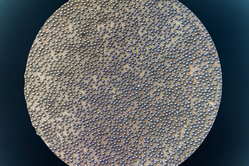 �F�Y������(x��)���ν���懷�