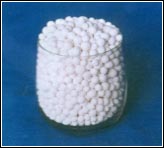 ���������X