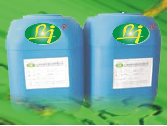 ������ϴ��