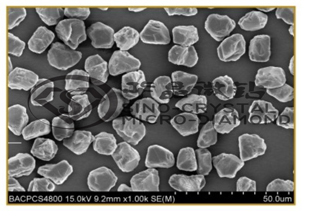 ����ʯ΢��SCMD-AA(AA��΢��)