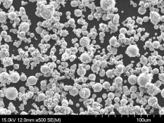 ���F������ע����ͷ�ĩ